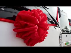 7m Zev Bus كهربائية 16 مقعدة الحافلة المصغرة الشحن السريع Ebus للنقل الحضري